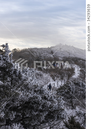 Snow flake, Deogyusan, Muju-gun, Jeonbuk 34293639