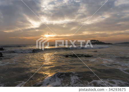 Pine, Myeongseon-do, Ulju-gun, Ulsan 34293675