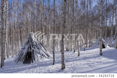 Duck, Birch, Inje County, Gangwon Province 34293728