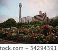 spring yamashita park yokohama 34294391