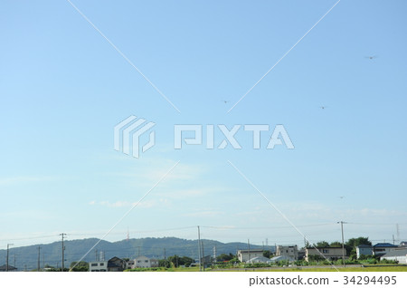 稻田(神奈川縣) 稻田(神奈川縣) 34294495
