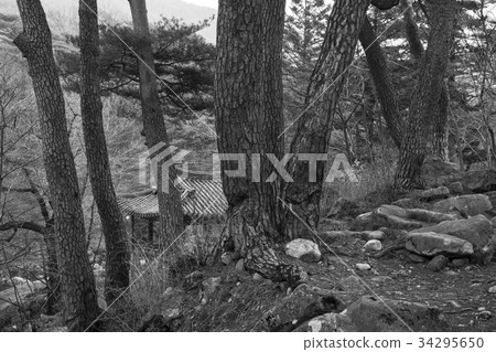 Chung Won Jung, Hamyang-gun, Gyeongnam 34295650