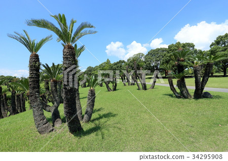 Yoshino Park Sotetsu Garden Yoshino Park Sotetsu Garden 34295908