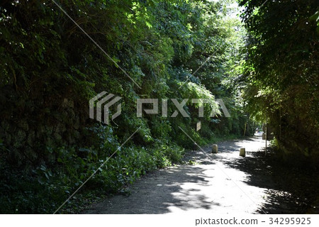 Kamedayazaka 34295925