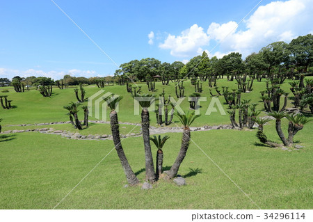 Yoshino Park Sotetsu Garden 34296114
