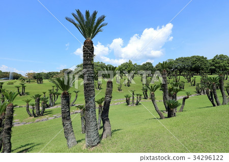 Yoshino Park Sotetsu Garden Yoshino Park Sotetsu Garden 34296122
