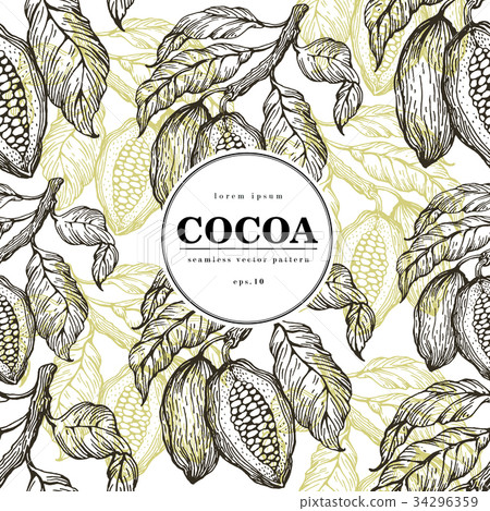 Cocoa beans vector seamless pattern. Engraved Cocoa beans vector seamless pattern. Engraved 34296359