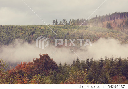 Autumn forest Autumn forest 34296487