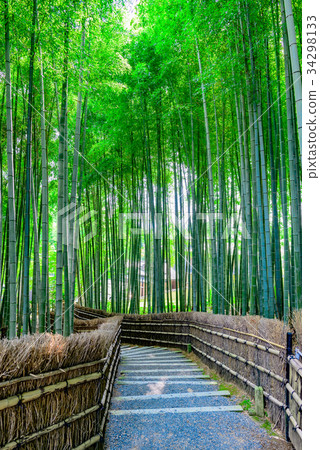 京都竹林 京都竹林 34298133