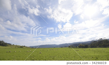 Ranch and sheep 34298819