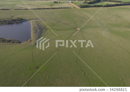 Ranch and sheep seen from the sky 34298821