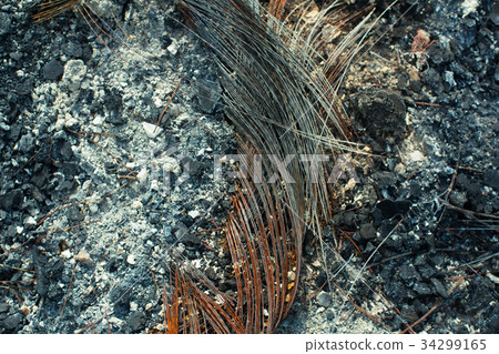 Metal carcass of the burnt automobile rubber tire Metal carcass of the burnt automobile rubber tire 34299165