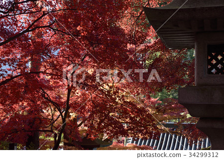 Temple Temple 34299312