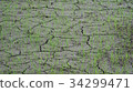 Close up of dried farm paddy. 34299471