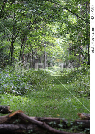 Natural tunnel 4 Natural tunnel 4 34299592