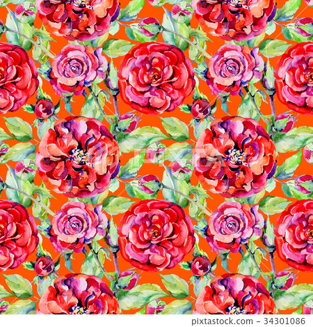 Wildflower rose flower pattern in a watercolor 34301086