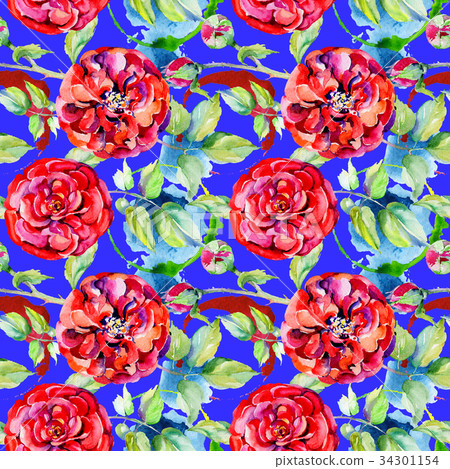 Wildflower rose flower pattern in a watercolor 34301154