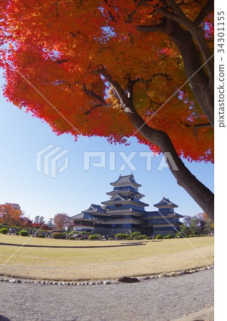 Autumn of Shinshu Matsumoto National treasure colored by autumn leaves Matsumoto Castle Existing 12 One of the temples Matsumoto Tourism center 34301155