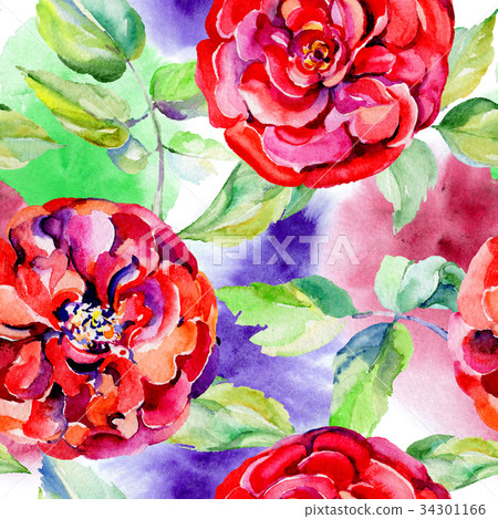 Wildflower rose flower pattern in a watercolor Wildflower rose flower pattern in a watercolor 34301166