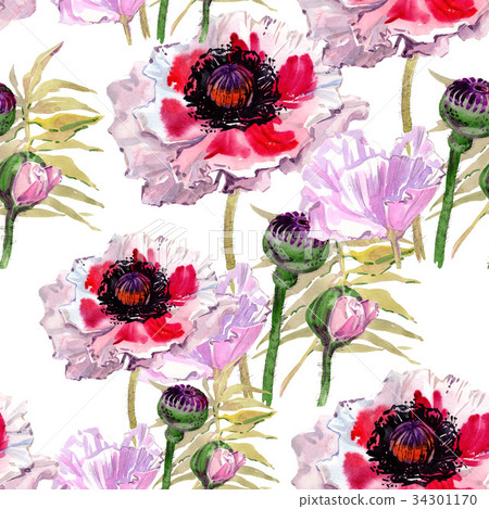 Wildflower poppy flower pattern in a watercolor 34301170