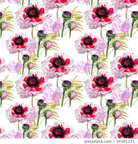 Wildflower poppy flower pattern in a watercolor Wildflower poppy flower pattern in a watercolor 34301171