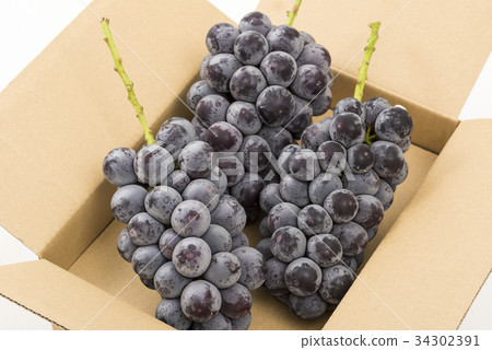 Seedless gigantic peak Seedless gigantic peak 34302391