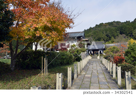 禪寺 34302541
