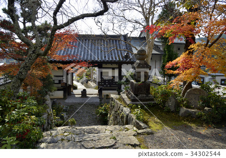 Kinseji寺 Kinseji寺 34302544