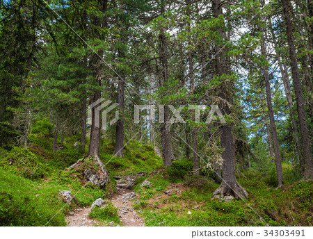 Tourist trail in Italian Alps Tourist trail in Italian Alps 34303491