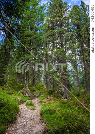 Tourist trail in Italian Alps 34303493