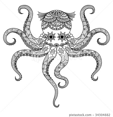 octopus octopus 34304882