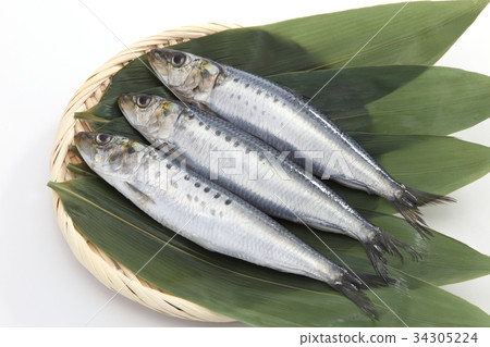 沙丁魚 34305224
