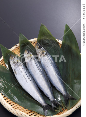 sardine 34305331