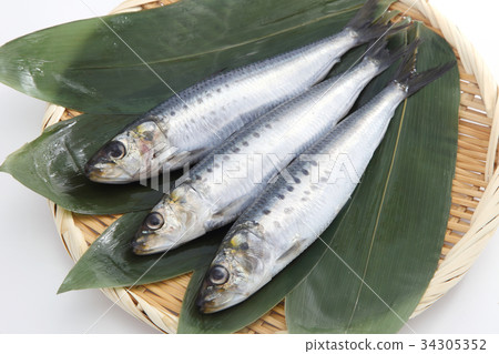 sardine 34305352