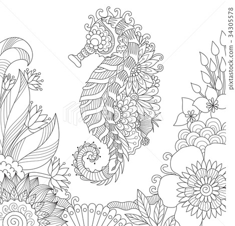 sea horse 34305578