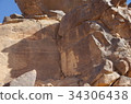 岩畫在撒哈拉大沙漠 34306438