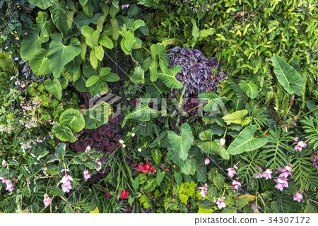 Green plants and flower background. 34307172