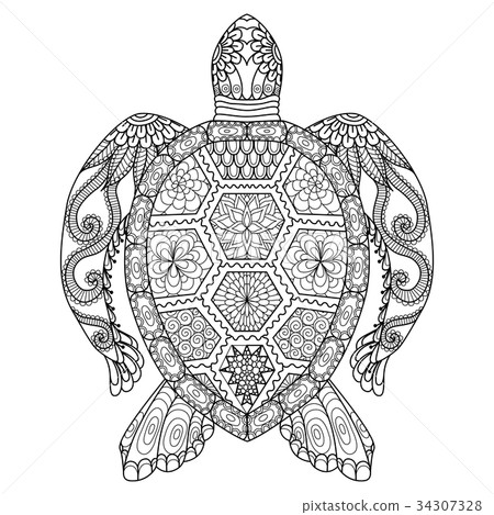 Turtle coloring page Turtle coloring page 34307328
