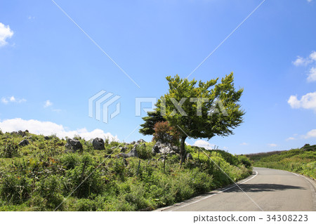 四國喀斯特天狗高原風景 34308223