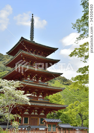 Hase temple five-storied pagoda 34308480