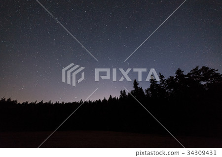 Starry night sky and forest silhouette 34309431