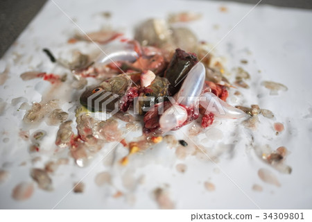 Dead Fish Heads 34309801