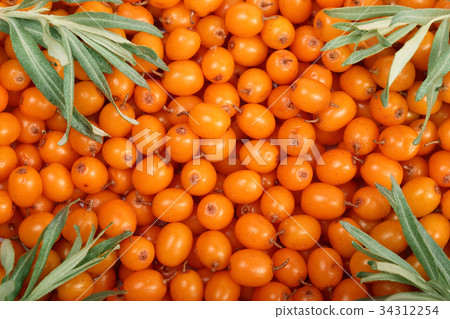 Sea buckthorn. Background of ripe fresh berries Sea buckthorn. Background of ripe fresh berries 34312254