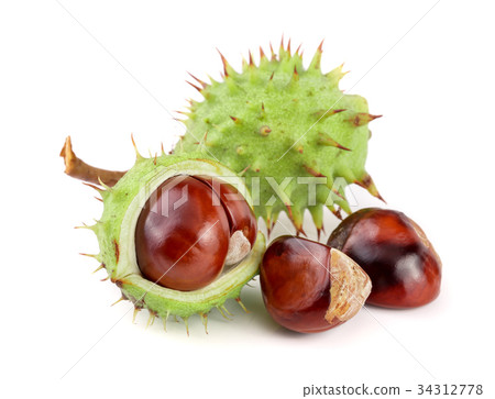 chestnut in the skin isolated on white background 34312778