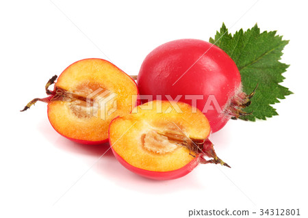 Hawthorn berry with leaf isolated on white Hawthorn berry with leaf isolated on white 34312801