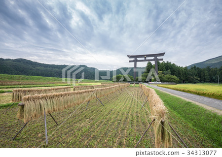 Ohnenhara Ohnenhara 34313077