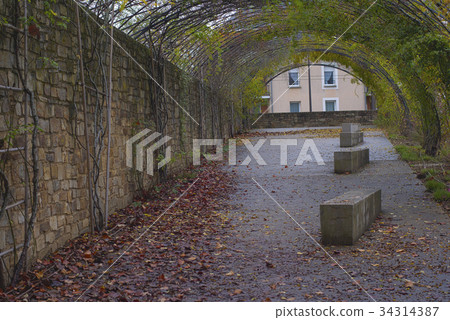 Park in the city at the autumn 34314387