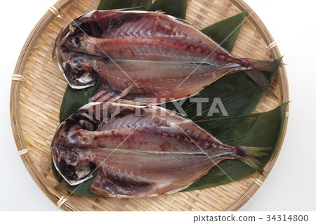 竹莢魚的開幕 34314800