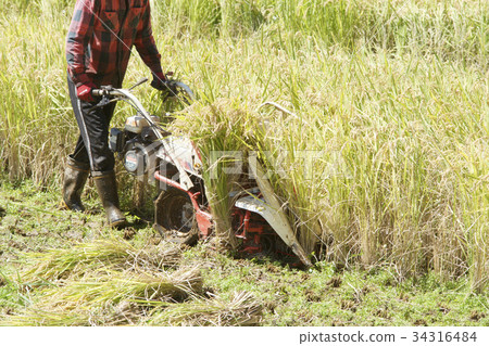 水稻收割機械 34316484