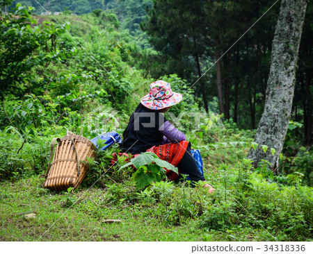 Mountain scenery in Mai Chau, Vietnam 34318336